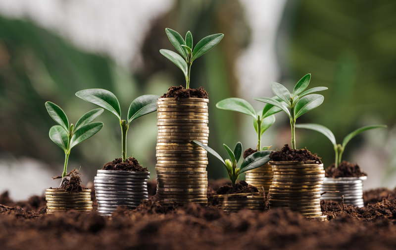 Image of growth coming from coins